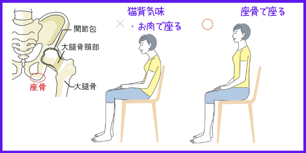 座骨位置と座り方の図