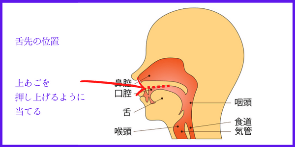 舌先位置を図解